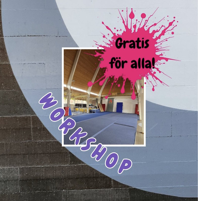 Workshop akrobatik capoeira Göteborg – Ivra Åkered nära Frölunda Torg